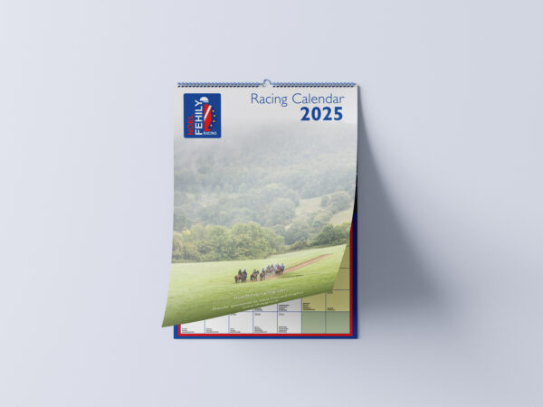 Noel Fehily Wall Calendar 2025